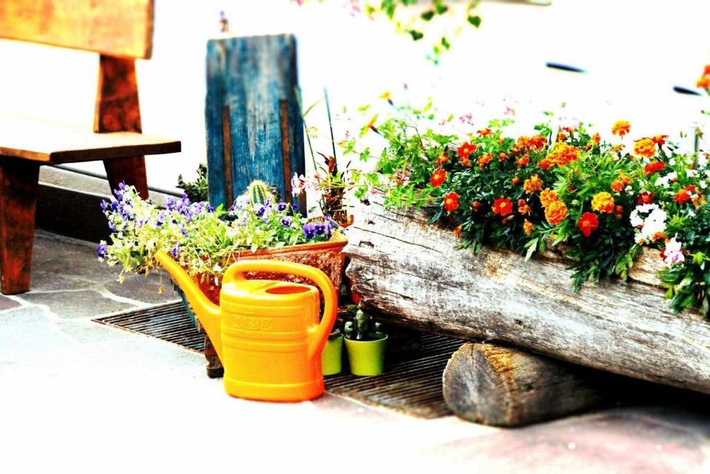 Pension Apartments Klotznerhof Schenna Dış mekan fotoğraf
